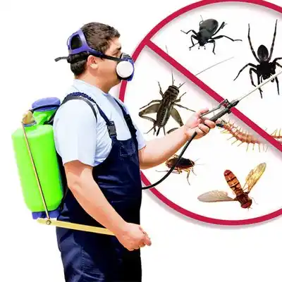 pest control Mariemont
